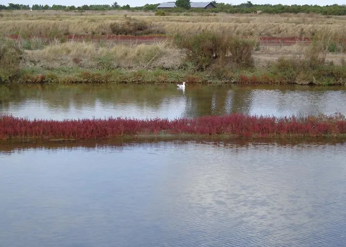 Hotel Le Chat Botte 3*