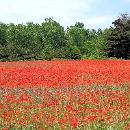 Le Botte Saint-Clément-des-Baleines