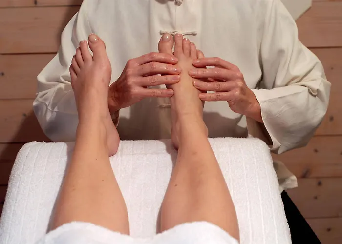 穿靴子的猫酒店 酒店