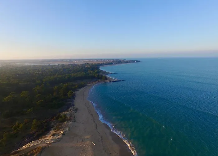 Le Chat Botte Saint-Clement-des-Baleines